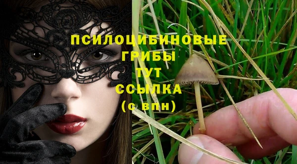 mix Надым