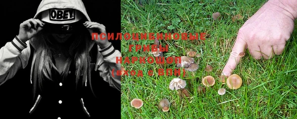 прущая мука Навашино