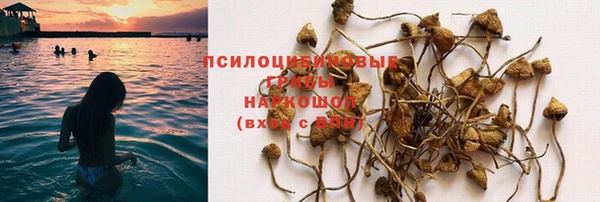 mix Надым